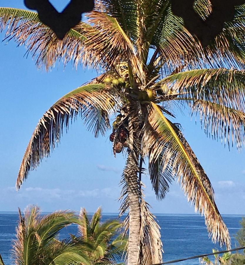 Le Reve Tropical 974 Apartment Trois Bassins Luaran gambar